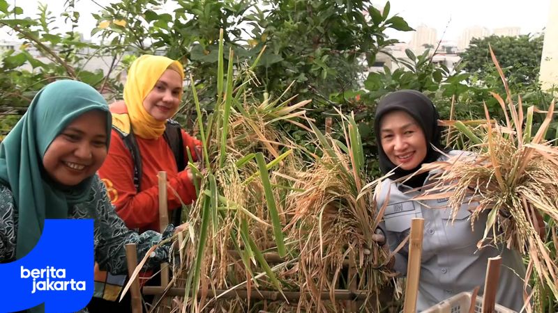 Kelurahan Tangki Sukses Hadirkan Inovasi Urban Farming Bersama Masyarakat