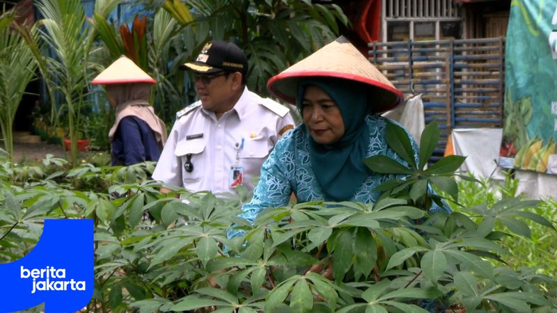 Lahan Terbengkalai di Kebon Kosong Disulap Jadi Urban Farming