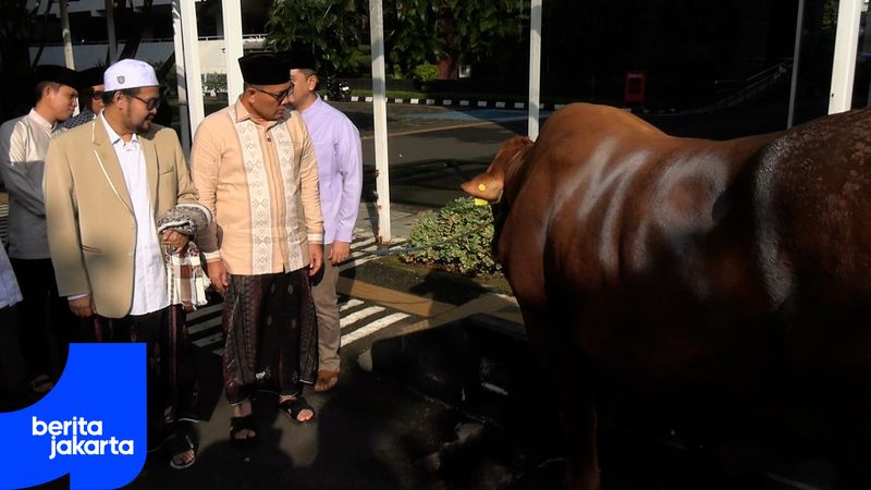 Sudin KPKP Jakarta Pusat Jamin Kesehatan Hewan Kurban